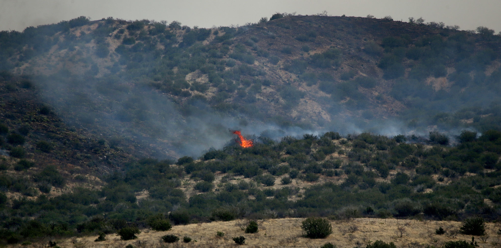 Sawmill Fire